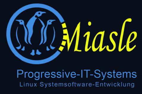 Matthias Lechner Miasle Progressive-IT-Systems Logo