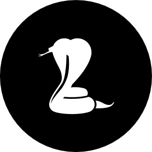 Nicole Spies Logo