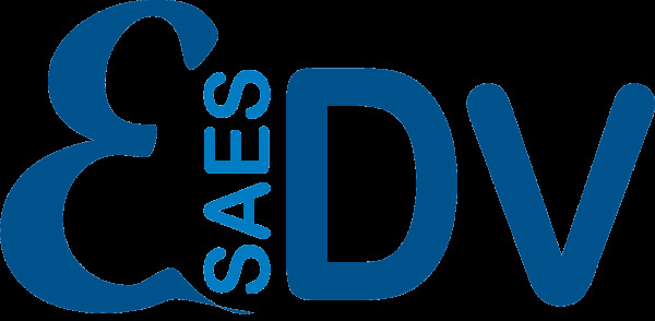 EDV Saes UG (haftungsbeschrenkt) Logo