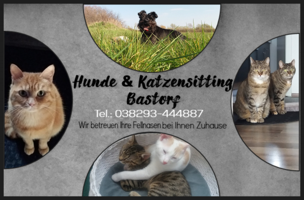 Hunde & Katzen Sitting Bastorf Logo