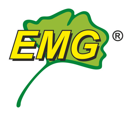 EMG International Logo