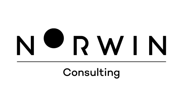 Norwin Consulting Logo