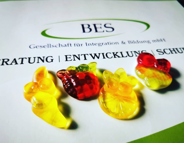 BES GmbH Logo