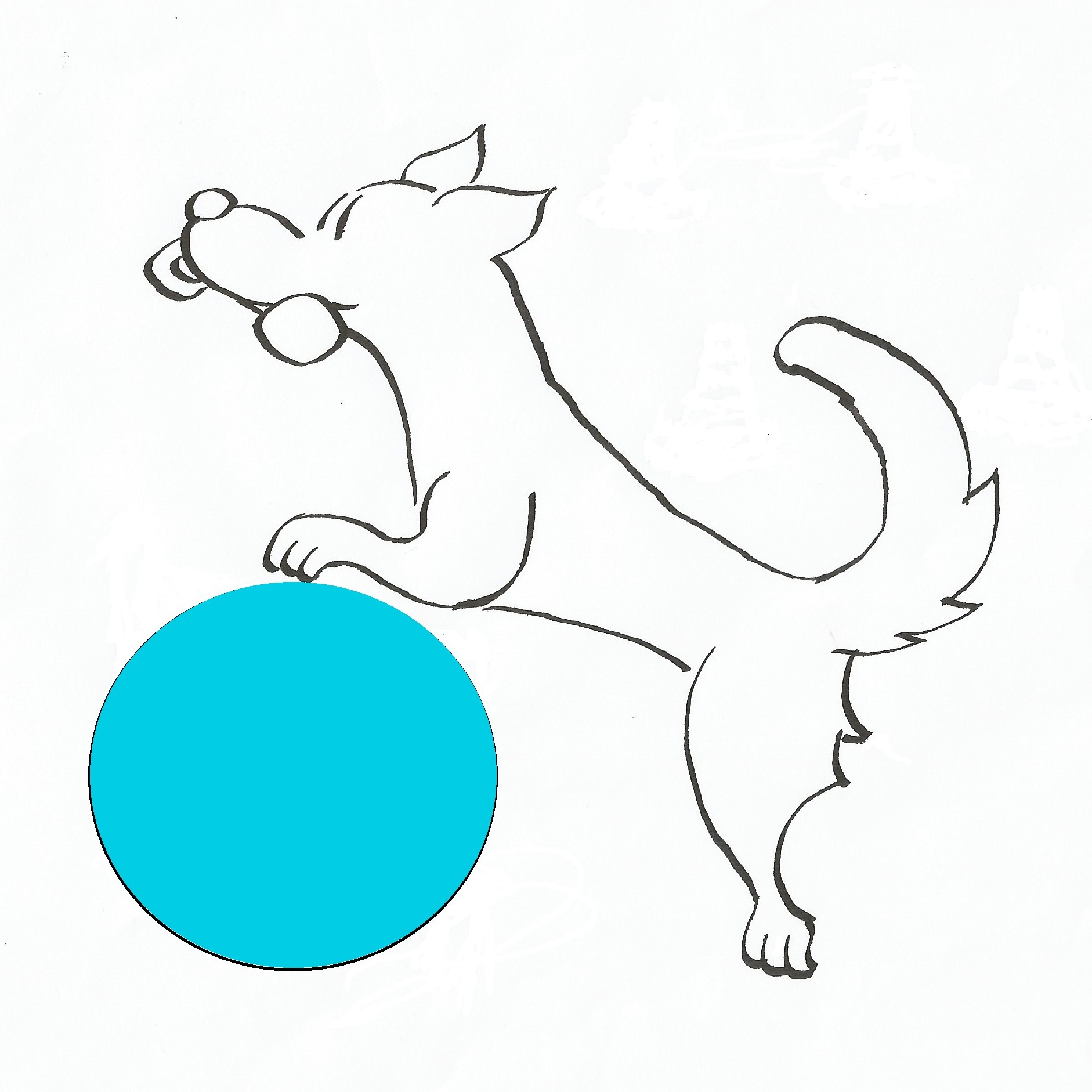 Hundezentrum Taunuspfoten Logo