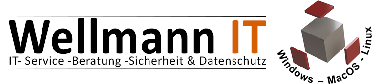 Wellmann IT Logo