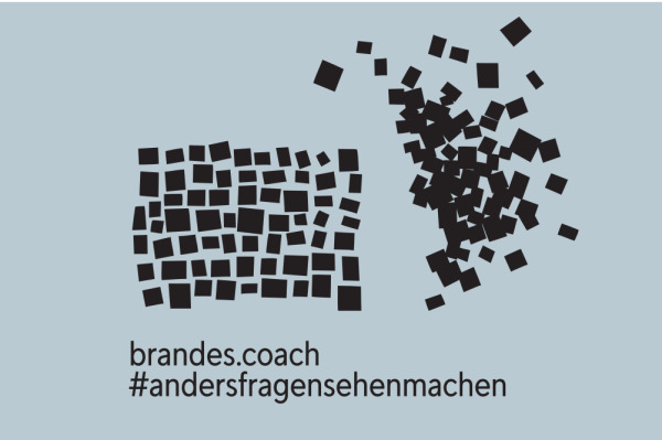 brandes.coach Logo