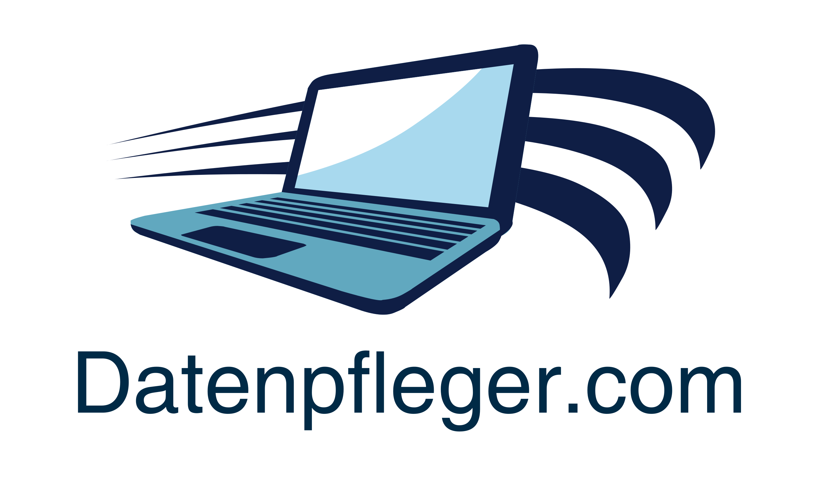 Datenpfleger.com Logo