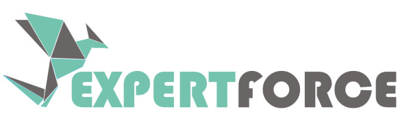 Expertforce Ltd. Logo