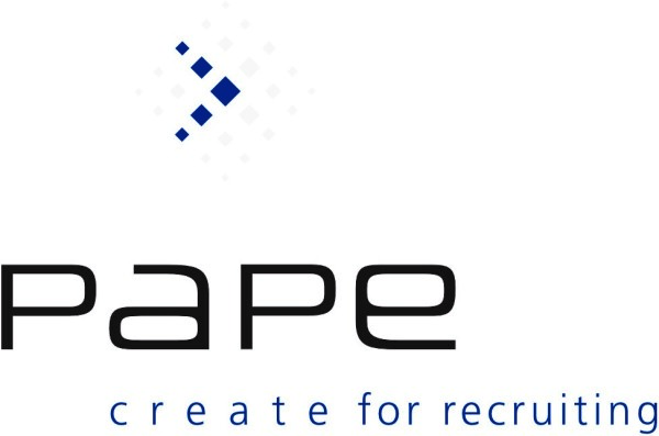 MW Consulting & Services - Pape Consulting Group AG Logo