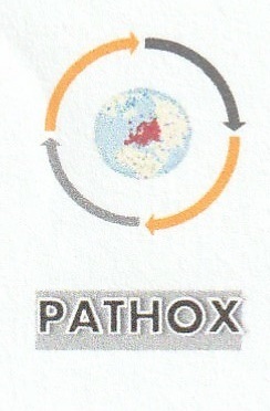 Pathox Logo