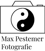 Max Pestemer Logo