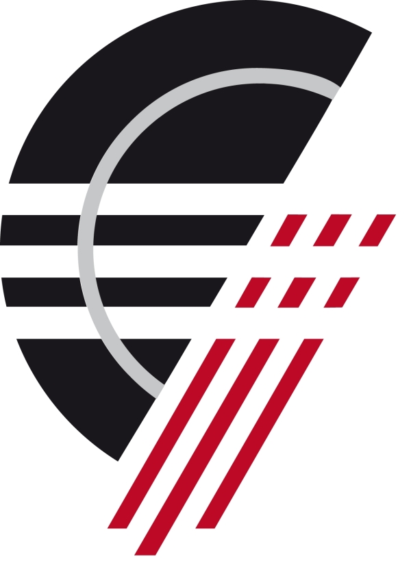 Elektro&Netzwerkservice Logo