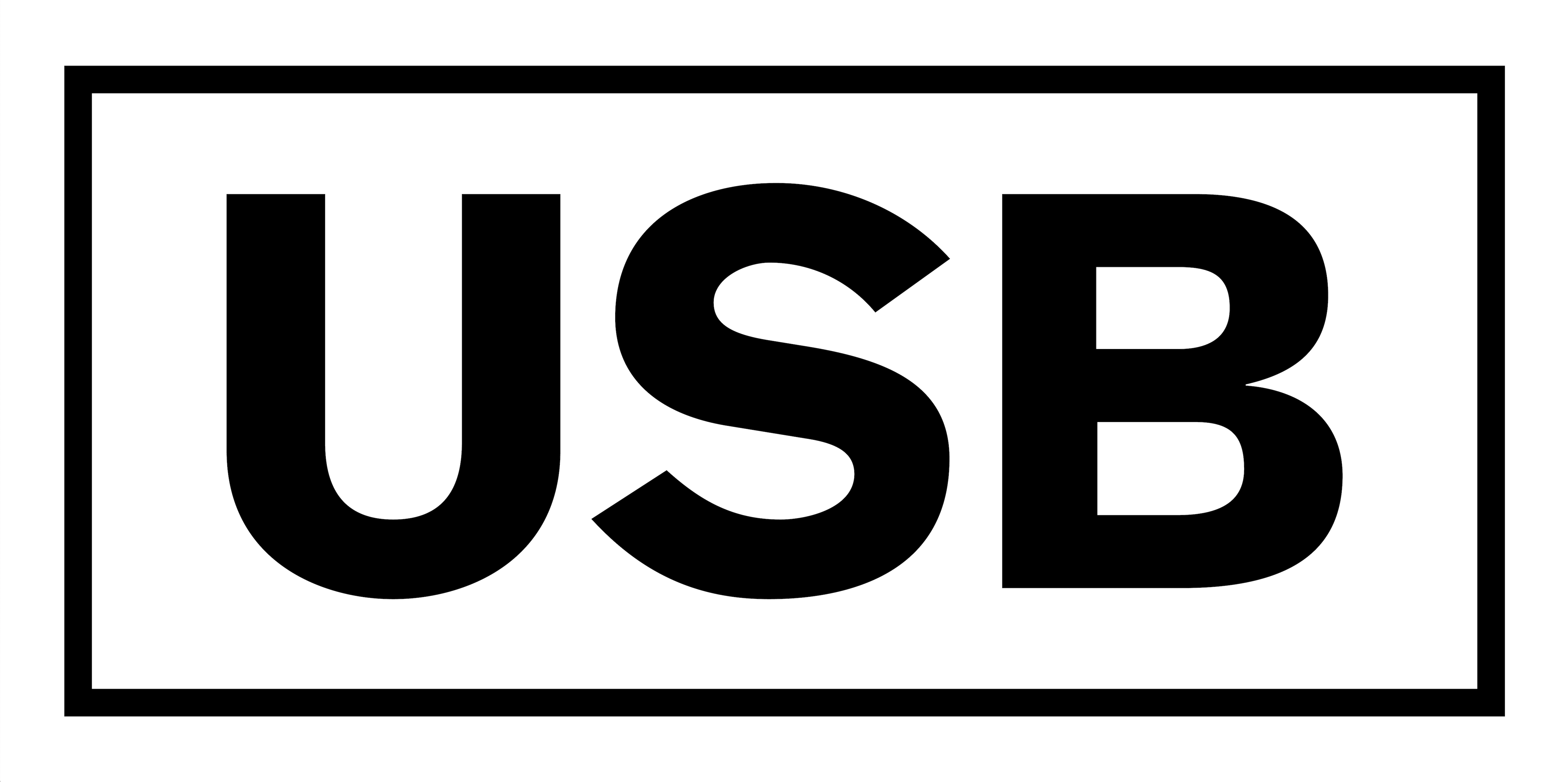 USB - UWESCHMIDTBERLIN Logo