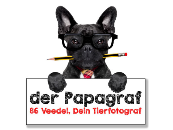 der Papagraf Logo