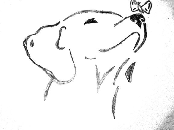 LuckyDogsHome Hundepension Logo