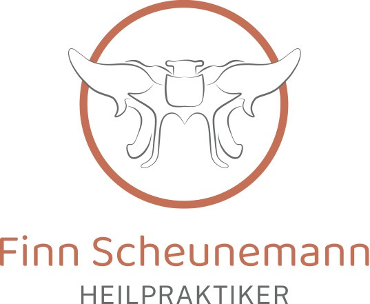 Finn Scheunemann Logo