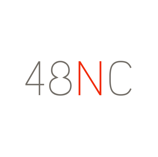 48N Consulting GmbH Logo