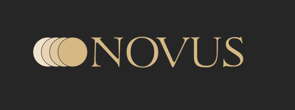 NOVUS Steuerberater Logo