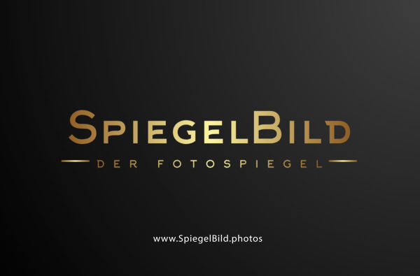 SpiegelBild Logo