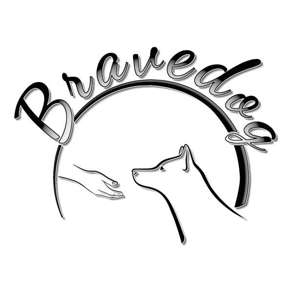 Hundeschule Bravedog Sabrina Bau Logo
