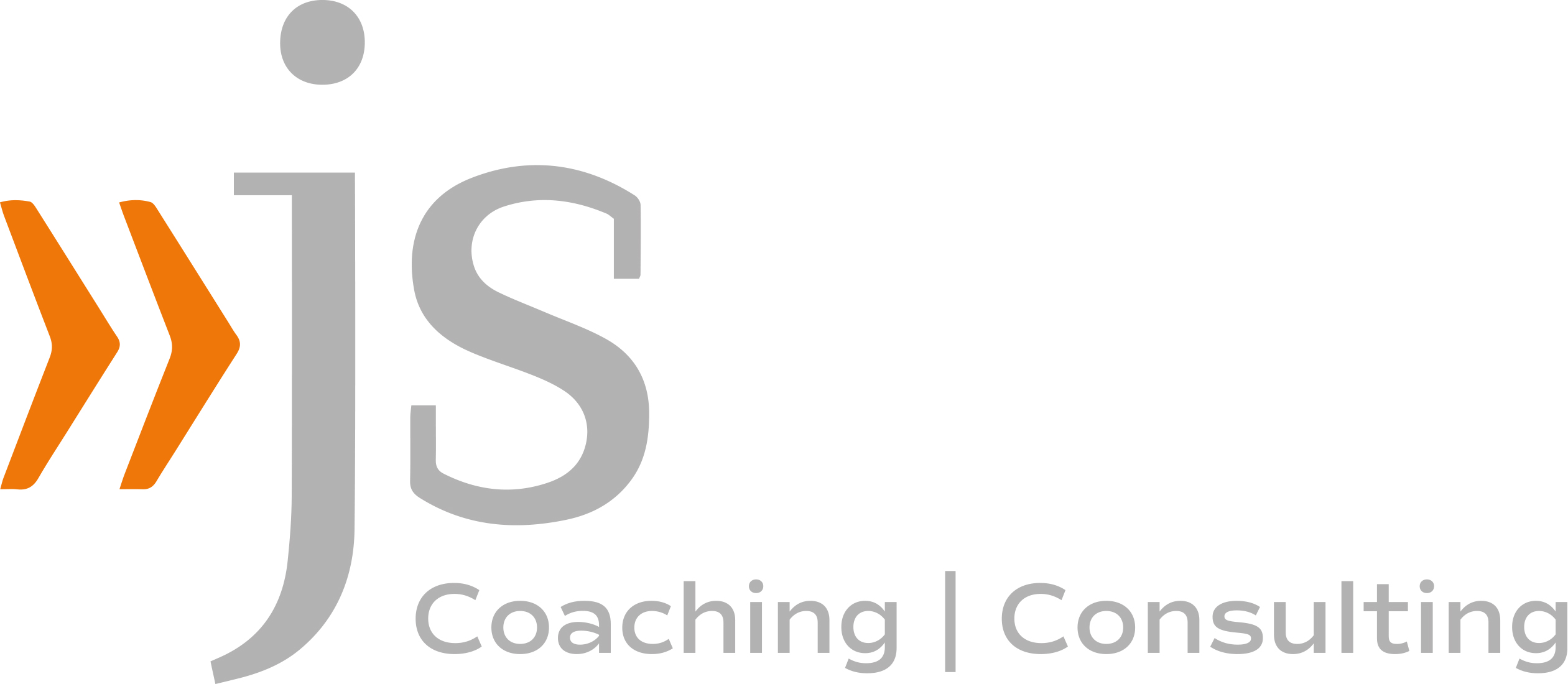 JS Coaching & Consulting Logo