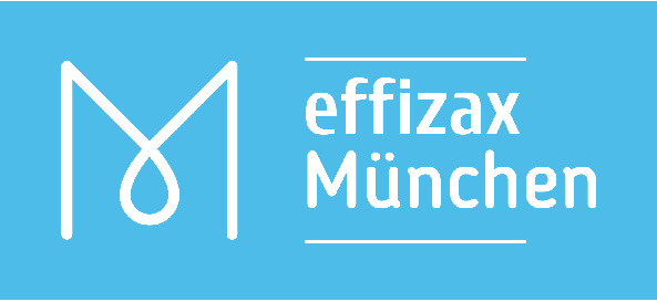 Effizax Consult Logo