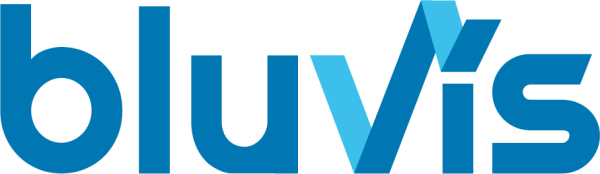 bluvis Strategie & Innovation Logo
