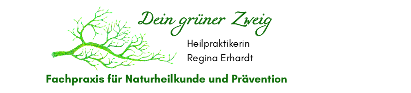 Dein grüner Zweig Heilpraktikerin Regina Brendle Logo