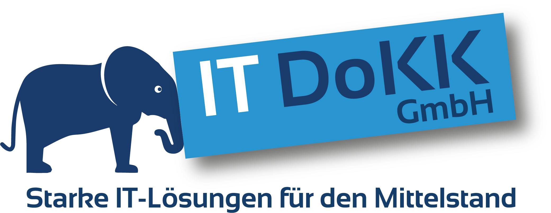 IT DoKK GmbH Logo