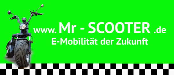 Mister Scooter Logo