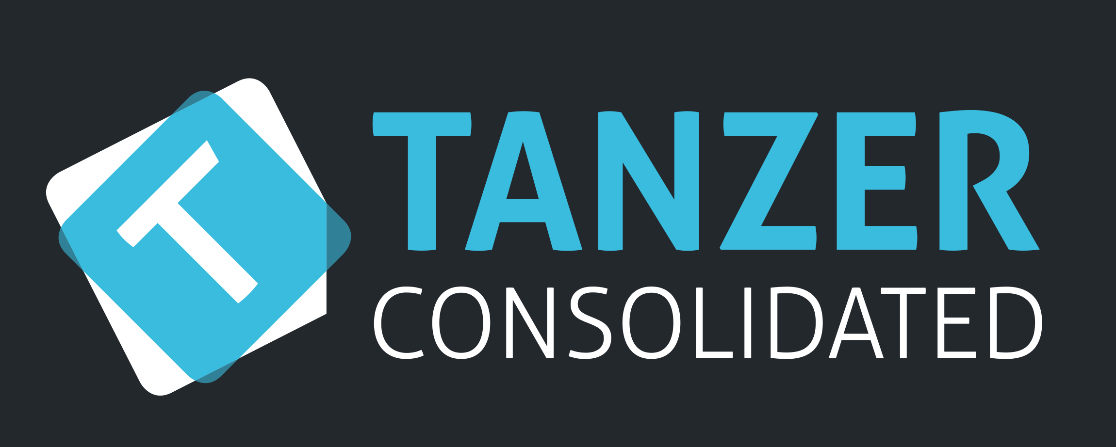 TANZER Consolidated UG (haftungsbeschränkt) Logo