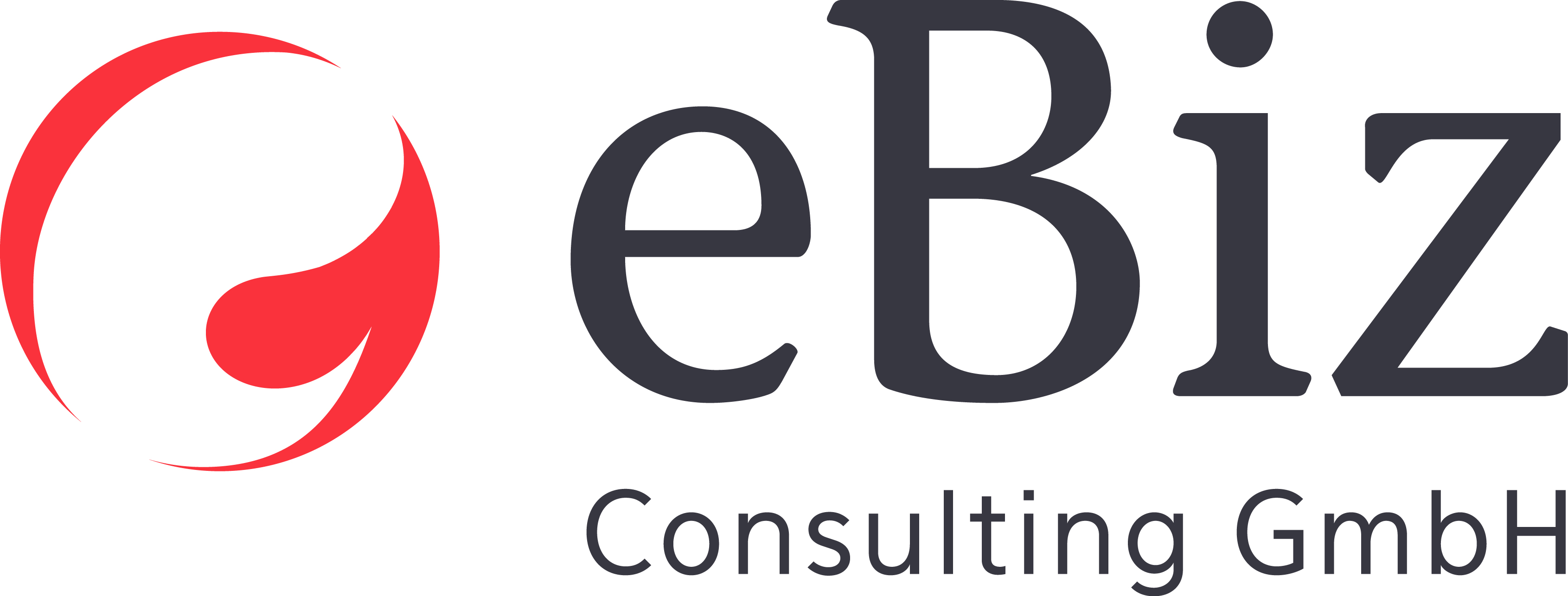 eBiz Consulting GmbH Logo