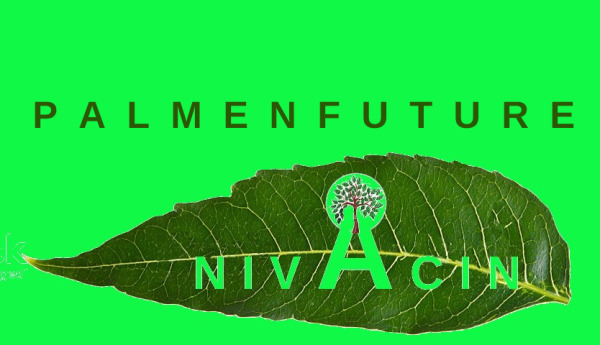 PalmenFuture Logo