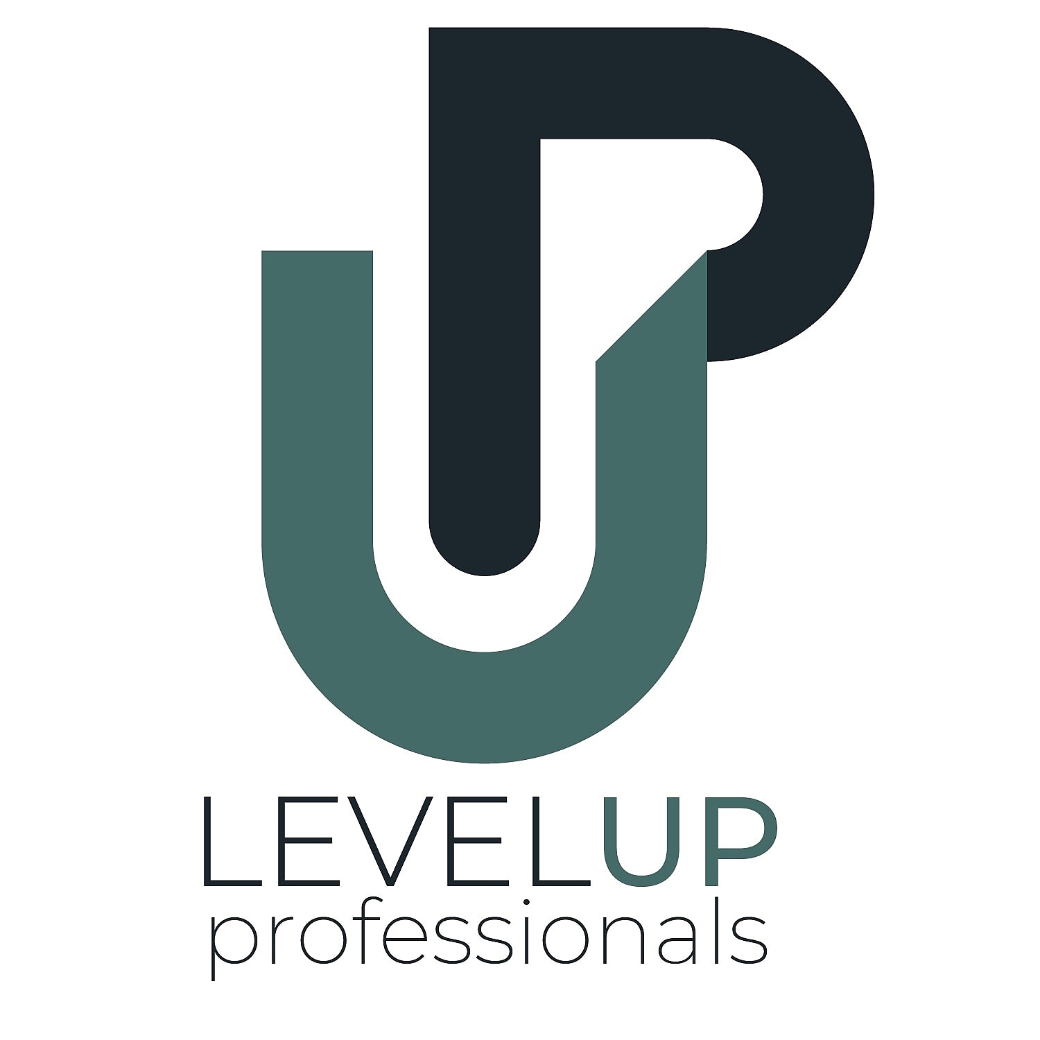 Levelup-Professionals Logo