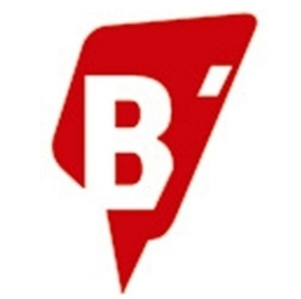 B'IMPRESS - impressive communication in sustainability Logo