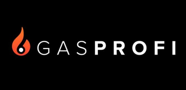 GASPROFI | BONNGAS GMBH & CO. KG Logo
