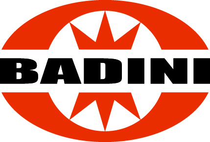 Badini Logo