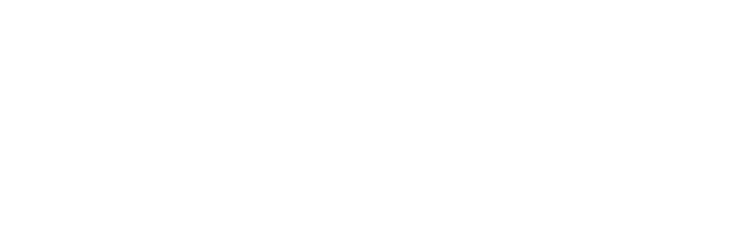 Nicole Gaus Logo