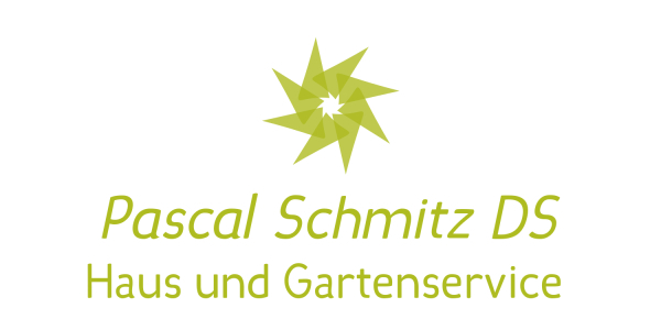 Pascal Schmitz DS Logo