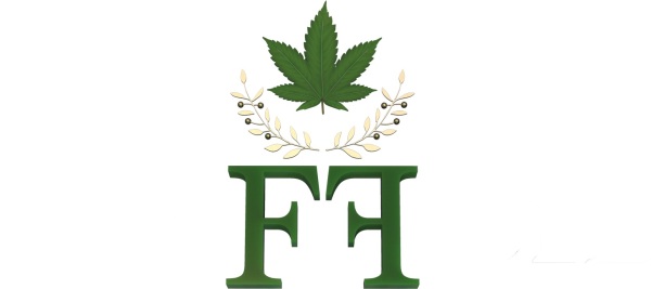 Hanffidel Logo
