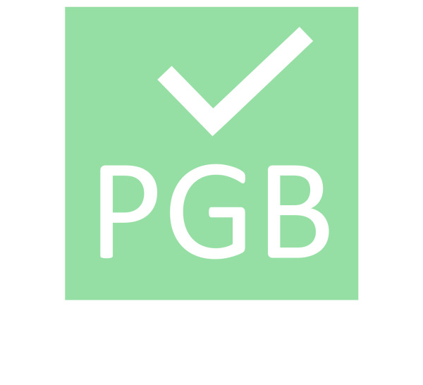 Bernd Michael Schreiber / PGB Digital GmbH Logo