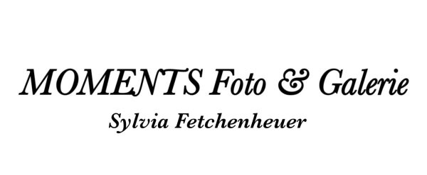 sylviafetchenheuer.fotografie Logo