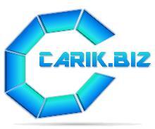 IT-Beratung Carik Logo