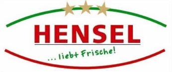 Hensel GmbH Logo
