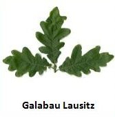 Galabau Lausitz Logo