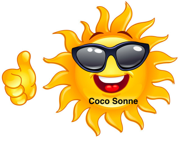 Coco Sonne Mentorin und Autorin Logo