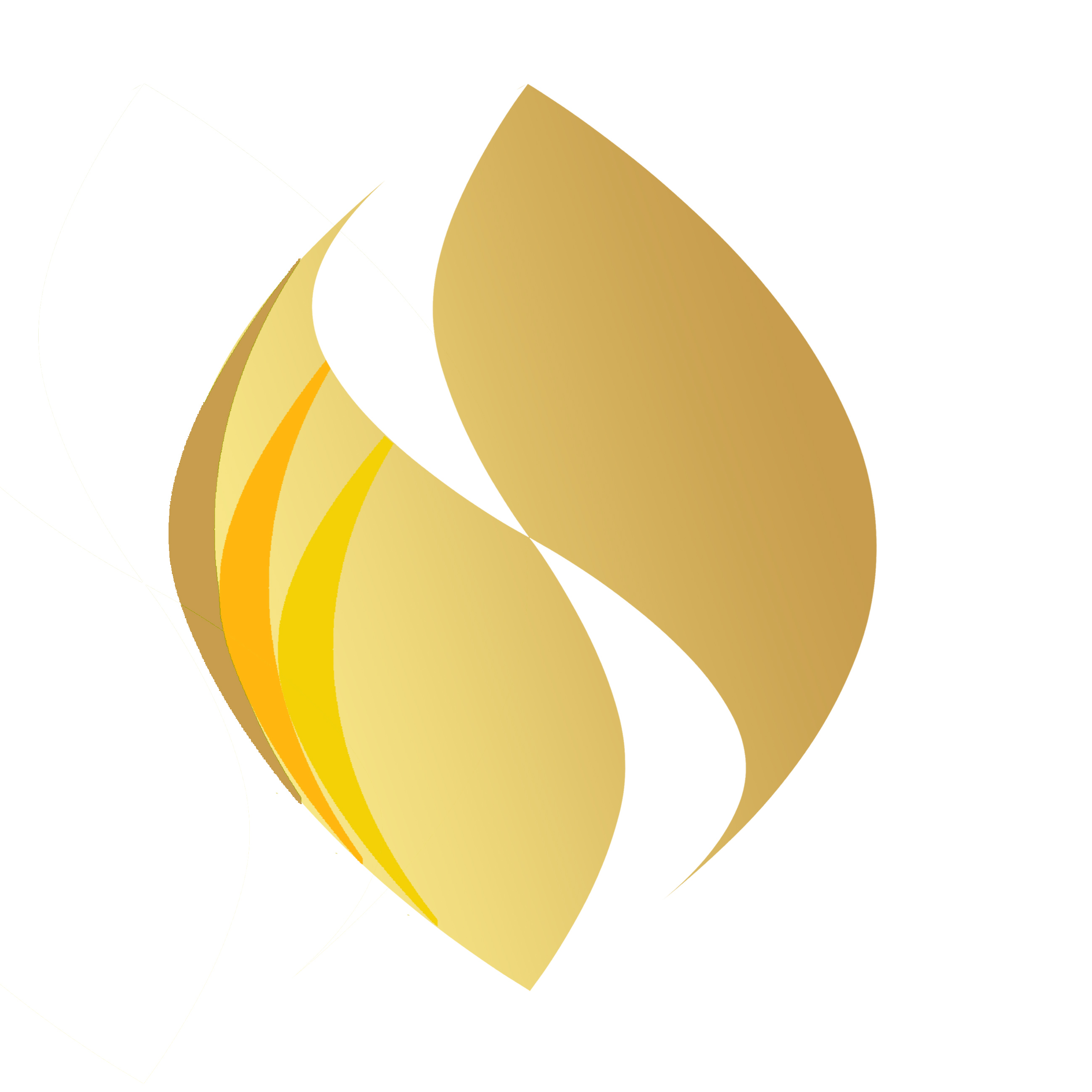 Dittlmann & Partner Inter Change Concept Logo